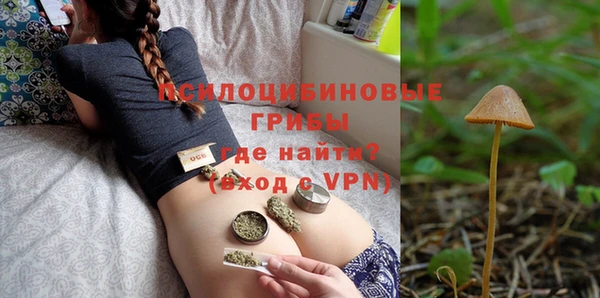 ALPHA-PVP Гусев