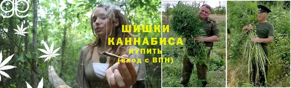 скорость Гусиноозёрск