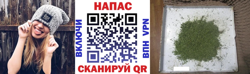 Купить где  Новозыбков  Марихуана OG Kush 